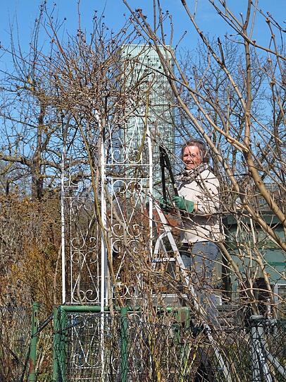 AZ-Leser Djordje Matkovic hat in der Gartenlaube in Moosach die Frühlingsboten fotografiert. Die Bilder.