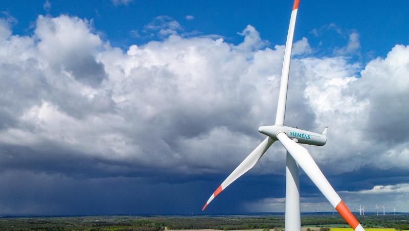 Im Ebersberger Forst werden fünf Windräder gebaut.