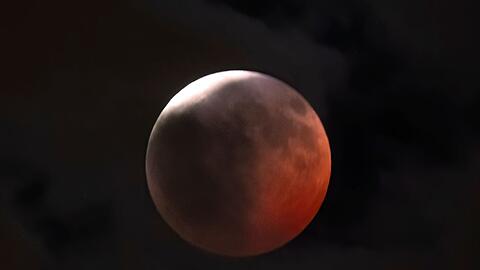 Auch in Los Angeles war die partielle Mondfinsternis zu sehen.