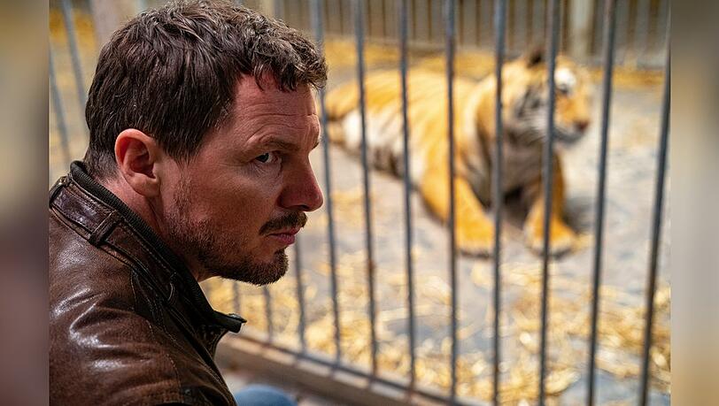 "Tatort: Die Nacht der Kommissare": Kommissar Sebastian Bootz (Felix Klare) unter vier Augen mit einem schwäbischen Tiger.