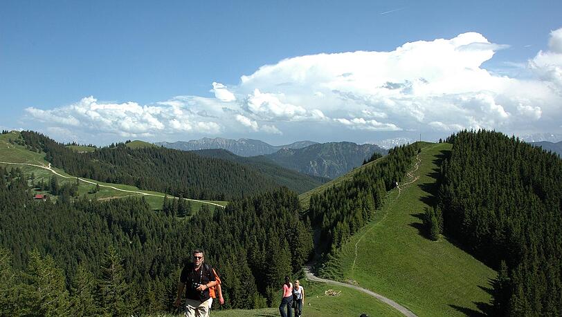 Ein Wanderweg in den Ammergauer Alpen.