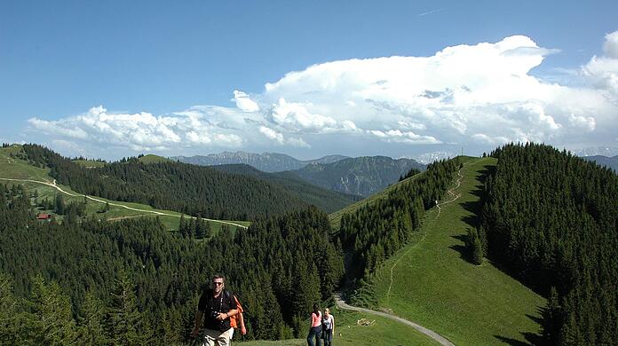 Ein Wanderweg in den Ammergauer Alpen.