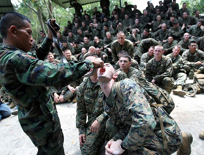 Maden, Schlangen-Blut, abgebissene Hühnerköpfe: Im Rahmen der Operation "Cobra Gold" lernen US-Soldaten in Südostasien das Überleben im Dschungel - die Bilder.