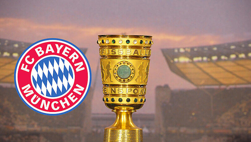 Die Halbfinalisten des DFB-Pokals können mit satten Zusatzeinnahmen rechnen. Die Halbfinalisten des DFB-Pokals können mit satten Zusatzeinnahmen rechnen.