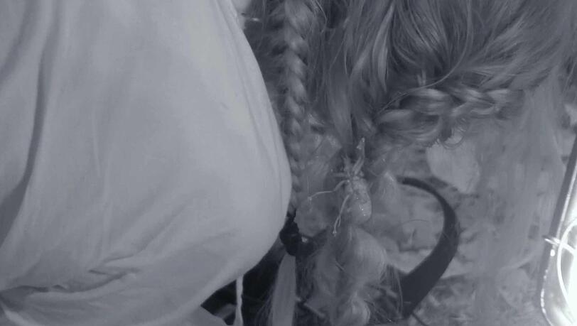 Im Haar von Nicole Belstler-Boettcher hat sich ein XXL-Insekt eingenistet.