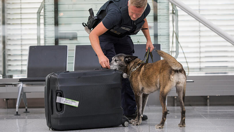 Die Polizei kontrollierte den Koffer - und kam damit dem Straftäter ganz unfreiwillig auf die Spur. (Symbolbild)