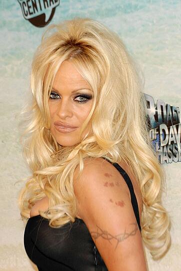 ...dabei sind Tattoos noch das harmloseste, was Baywatch-Star Pamela Anderson mit ihrem Körper angestellt hat.