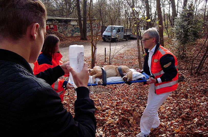 Ein Passant unterstützte die Tierrettung beim Transport des Mischlingsrüden.