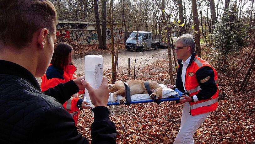 Ein Passant unterstützte die Tierrettung beim Transport des Mischlingsrüden. Ein Passant unterstützte die Tierrettung beim Transport des Mischlingsrüden.