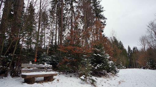 Winterzauber im Wald.