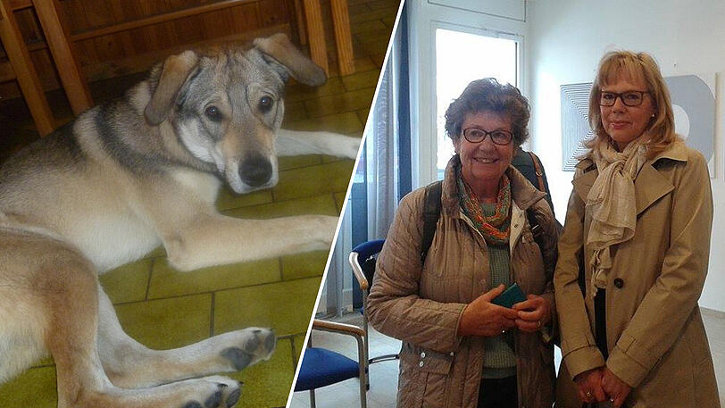 Christoforis mit ihrer Anwältin. Ihr Hund Yannis darf bald auch wieder ohne Maulkorb vor die Tür.