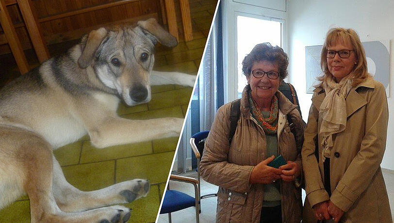 Christoforis mit ihrer Anwältin. Ihr Hund Yannis darf bald auch wieder ohne Maulkorb vor die Tür. Christoforis mit ihrer Anwältin. Ihr Hund Yannis darf bald auch wieder ohne Maulkorb vor die Tür.