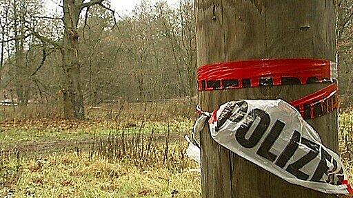 Die Fundstelle der Leiche in einem Wald bei Dessau.