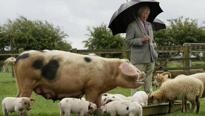 Prinz Charles bei seinem Besuch im Cotswold Farm Park. Prinz Charles bei seinem Besuch im Cotswold Farm Park.