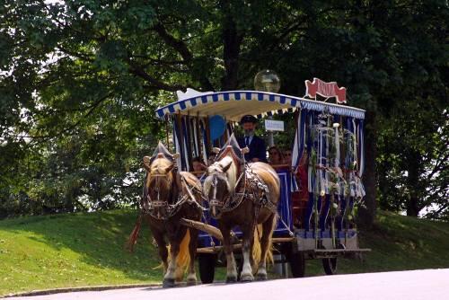 Es sollte eine gemütliche Spazierfahrt werden, doch die Pferde gingen durch und verletzten ein Ehepaar.