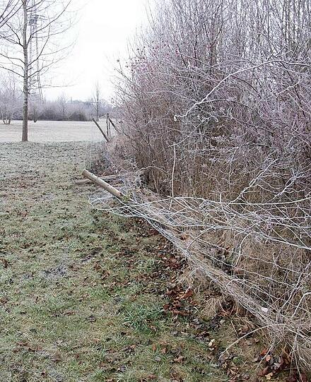 Die Einzäunung an der Langwieder Seenplatte verfällt.