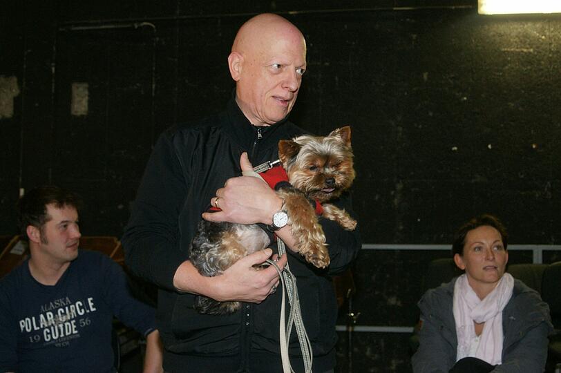 Das Münchner Gärtnerplatztheater suchte am Mittwochabend ein Schoßhündchen für die Inszienierung des Musicals "Anything Goes". Die besten Bilder der tierischen Bewerber!
