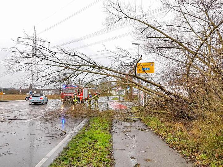Einsatzkräfte beseitigen einen umgestürzten Baum. Foto: Marco Friedrich / Einsatzreport2/dpa/Archivbild