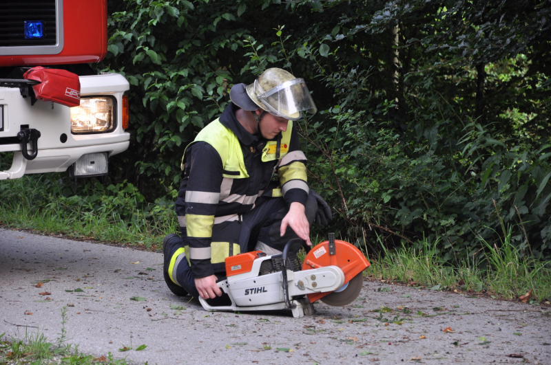 Der Wagen zerschellte an einem Baum - der Fahrer starb an der Unfallstelle.