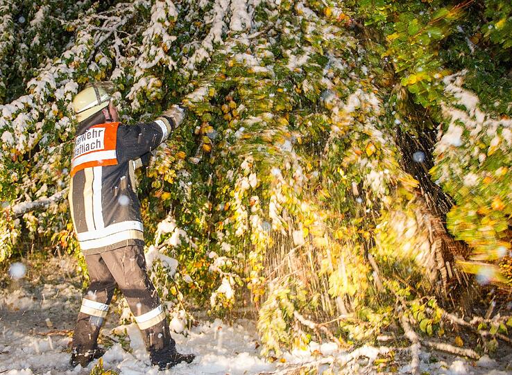Nasser Schnee hat zu vielen umgestürzten Bäumen in Oberbayern geführt.