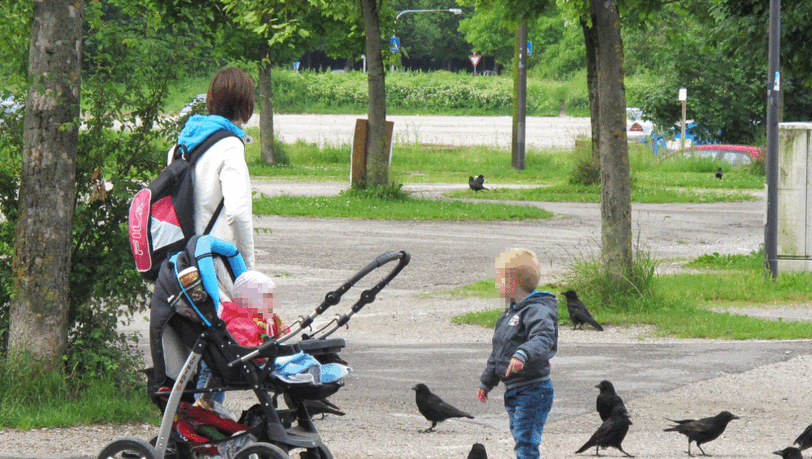 ... an Szenen aus "die Vögel", schreibt er. Dabei blieb alles harmlos. Doch der kleine Bub fand das offenbar nicht lustig.