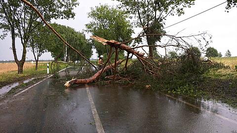 Ein Feuerwehrmann befreit bei Ludwigslust-Parchim eine Stra&szlig;e nach einem Gewitter von einem herabgefallenen Ast.