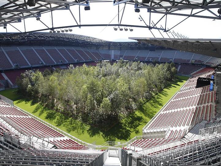 299 Bäume stehen im Wörthersee-Stadion als Kunstinstallation.