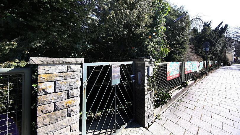 Die Zöglinge der ehemaligen Baumschule vom Großvater des Seebauer-Chefs Bernhard Gerstenkorn sind zum Wald herangewachsen.