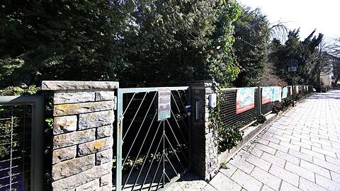 Die Zöglinge der ehemaligen Baumschule vom Großvater des Seebauer-Chefs Bernhard Gerstenkorn sind zum Wald herangewachsen.