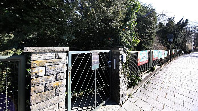 Die Zöglinge der ehemaligen Baumschule vom Großvater des Seebauer-Chefs Bernhard Gerstenkorn sind zum Wald herangewachsen.