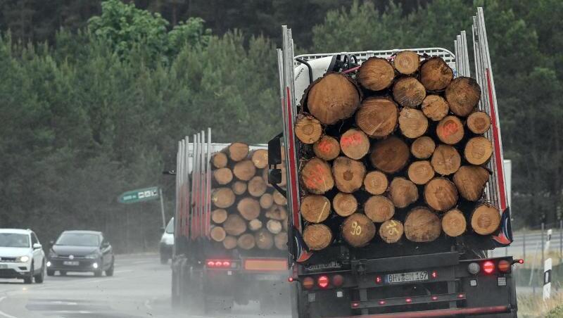 Der Holztransporter kippte um. Warum, ist aktuell noch unklar. (Archivbild)