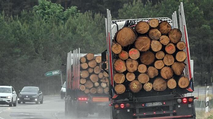 Der Holztransporter kippte um. Warum, ist aktuell noch unklar. (Archivbild)
