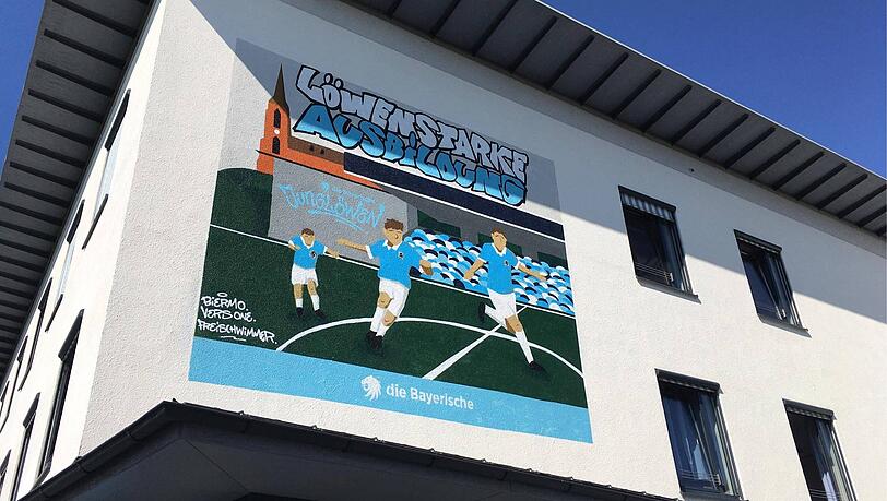 Das NLZ des TSV 1860 bietet Talenten eine "löwenstarke", aber auch für den Verein teure Ausbildung. Das NLZ des TSV 1860 bietet Talenten eine "löwenstarke", aber auch für den Verein teure Ausbildung.