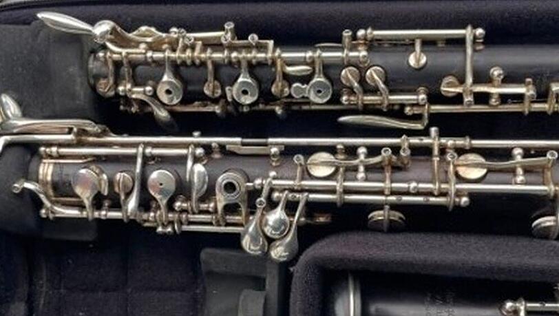 Den Verlust seiner Oboe hatte ein 55-j&auml;hriger Italiener am 20. November 2022 in einer S-Bahn der Linie S7 von Icking nach M&uuml;nchen bemerkt.