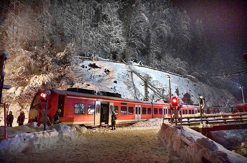 Am Sonntagabend stürzte ein Baum auf einen Zug - die Passagiere hatten Glück im Unglück.