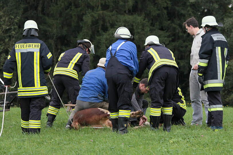 In einer spektakulären Aktion hat die Feuerwehr einen in der Nacht von Samstag auf Sonntag ausgebrochenen Stier wieder eingefangen - die Bilder.