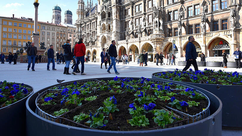 Die Stadt hat neue Pflanztröge am Marienplatz errichtet. Die Bilder.