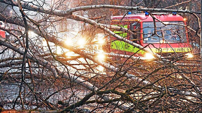 Auf der Rosenheimer Straße kurz vor der Auffahrt auf die A8 stürzten mehrere Bäume auf die Fahrbahn. Die Freiwillige Feuerwehr aus Perlach beseitigte die Hindernisse.