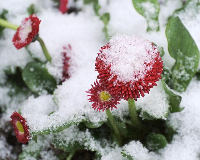 Wintereinbruch im März - die Bilder