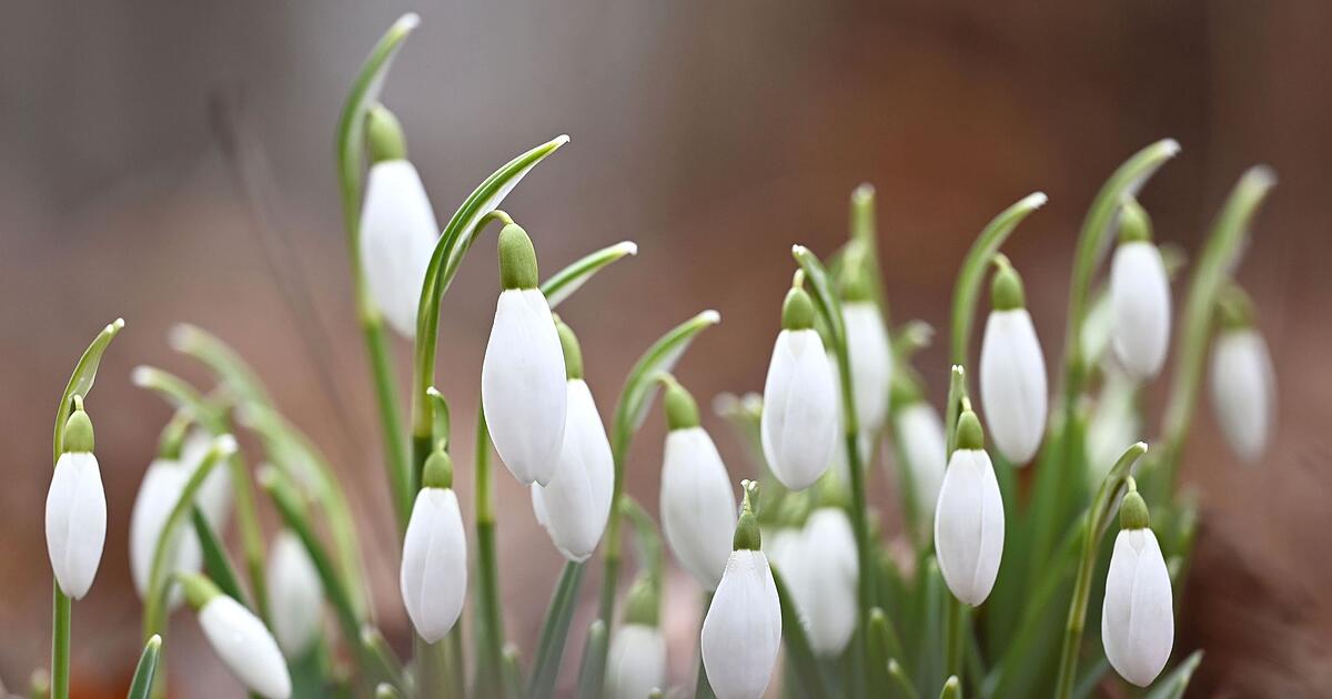 Eis-und-Schnee-schmelzen-In-Mittelfranken-droht-Hochwasser