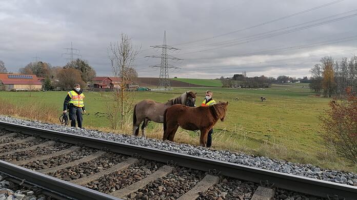 Drei Ponys haben den Zugverkehr aufgehalten.