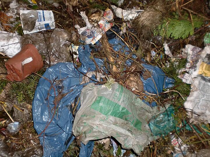 ...denn die Bio-Plastiktüten verrotten nicht, wenn sie auf dem Kompost landen und müssen mühsam mit der Hand aussortiert und dann verbrannt werden.