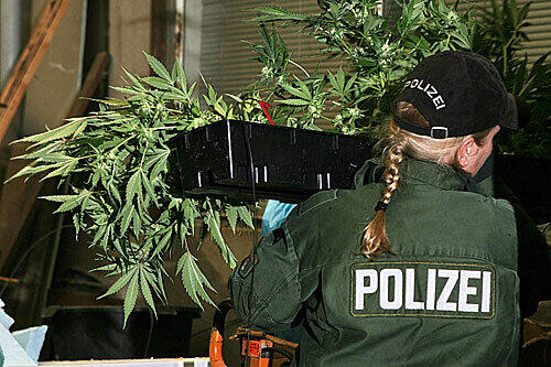 Mindestens 110 Kilogramm Haschisch und Marihuana, 13 Kilogramm Amphetamin, 50 Gramm Kokain und 1000 Ecstasytabletten konnte die Polizei sicher stellen.