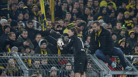 Gegen eine schwarz-gelbe Wand: BVB-Torhüter Roman Weidenfeller versucht, die Fans zu beruhigen.