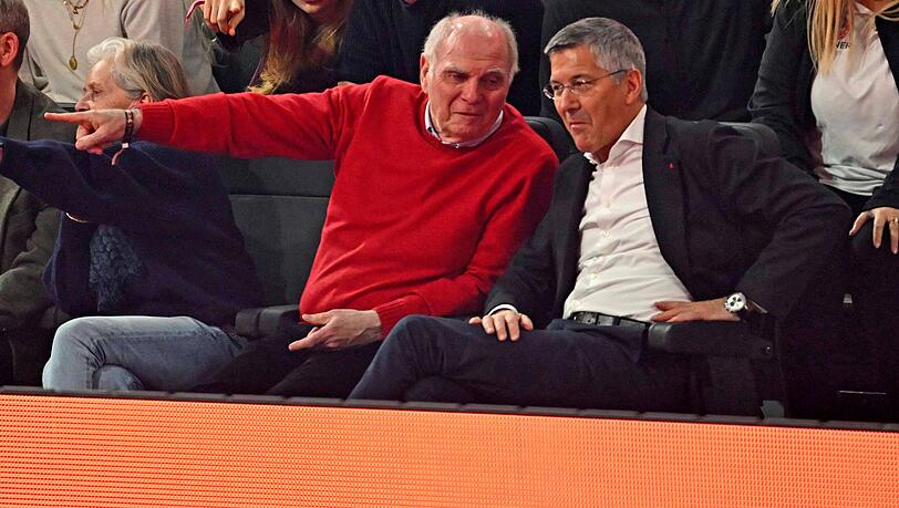 "Wir schauen genau hin": Bayerns Ehrenpr&auml;sident und Aufsichtsrat Uli Hoene&szlig; (l.) mit Pr&auml;sident Herbert Hainer (r.) im SAP Garden.