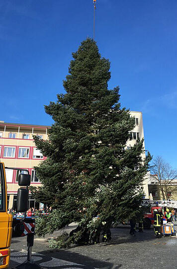 Auch in Augsburg steht mittlerweile der Weihnachtsbaum.