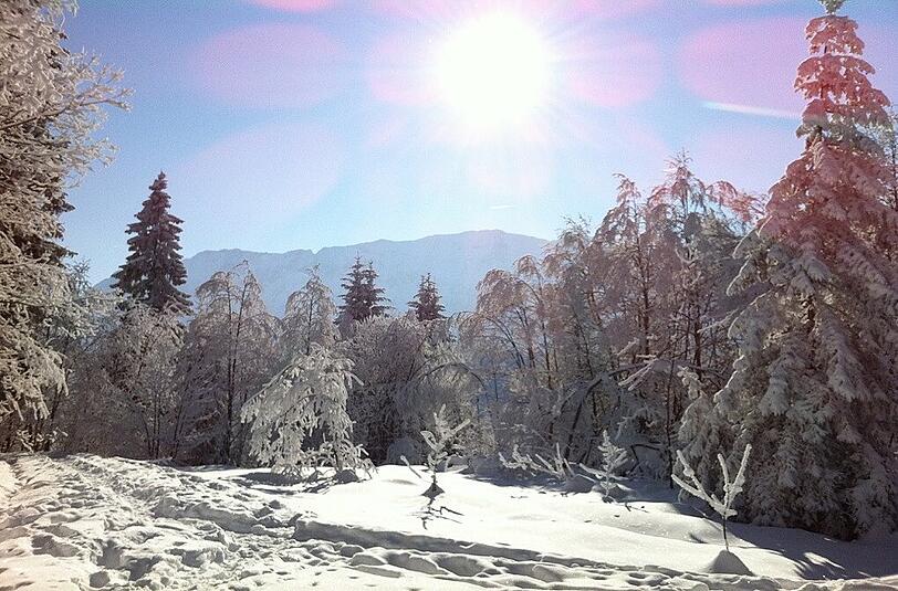 Die Wintersonne als steter Begleiter auf dem Weg zum Berggasthaus Eckbauer.
