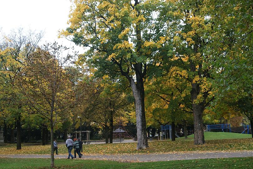 ... in den Nußbaumpark. Dorthin auf die Wiese würden die Urbanauten gern zum Public-Viewing laden, wenn die Deutsche Mannschaft spielt.