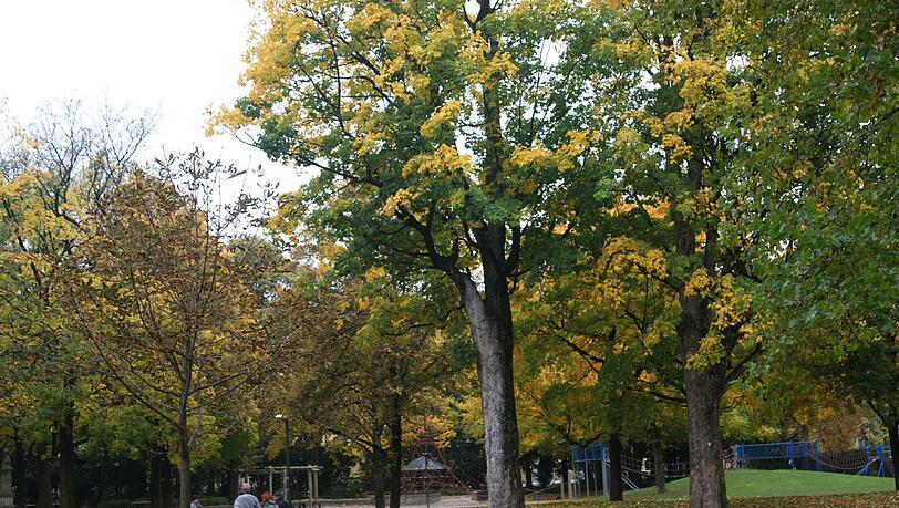 ... in den Nußbaumpark. Dorthin auf die Wiese würden die Urbanauten gern zum Public-Viewing laden, wenn die Deutsche Mannschaft spielt. ... in den Nußbaumpark. Dorthin auf die Wiese würden die Urbanauten gern zum Public-Viewing laden, wenn die Deutsche Mannschaft spielt.