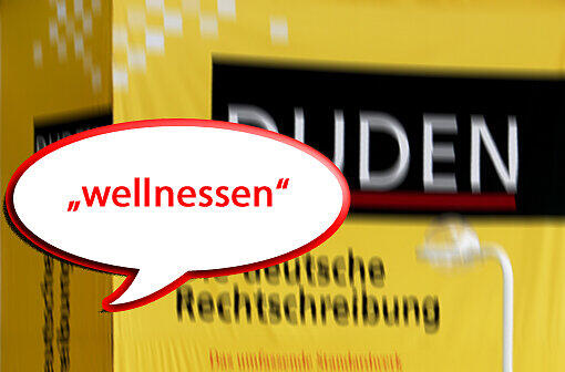 Vom "Shitstorm" bis zur "Vorständin" - die neuen Wörter im Duden zum Durchklicken.